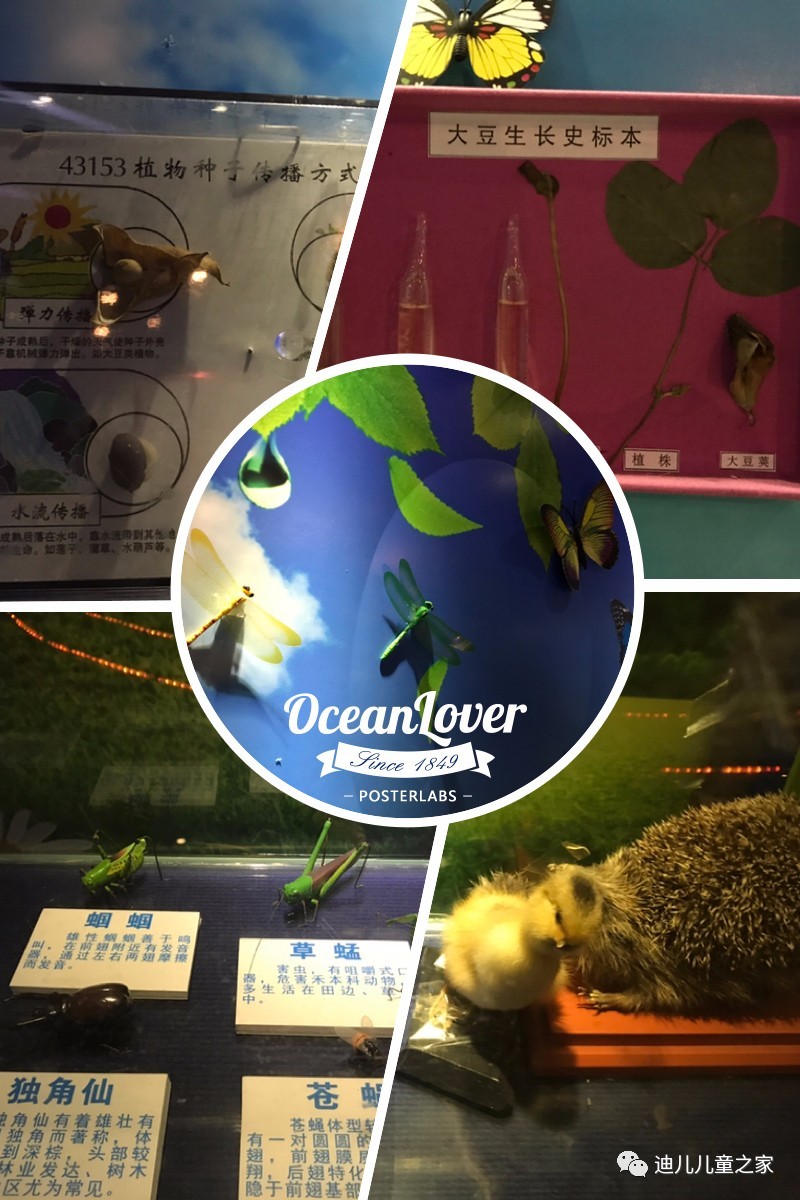 微信图片_20170527172245.jpg 微信图片_20170527172245.jpg